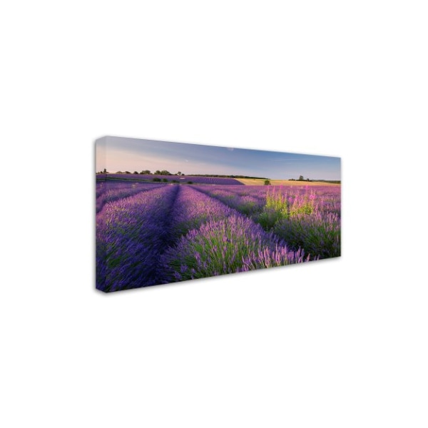 Adam Burton 'Pink & Purple' Canvas Art,16x32